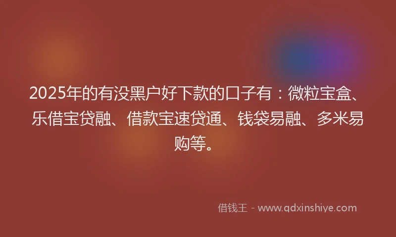 2025年的有没黑户好下款的口子有：微粒宝盒、乐借宝贷融、借款宝速贷通、钱袋易融、多米易购等。