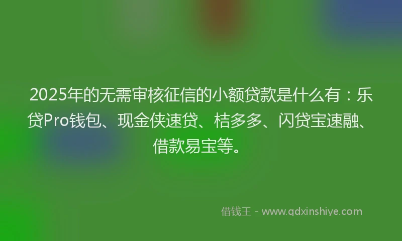 2025年的无需审核征信的小额贷款是什么有：乐贷Pro钱包、现金侠速贷、桔多多、闪贷宝速融、借款易宝等。