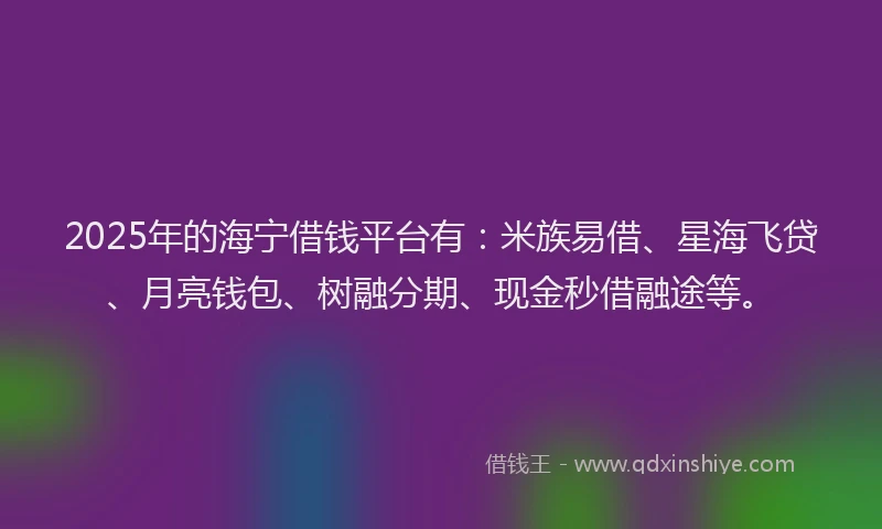 2025年的海宁借钱平台有：米族易借、星海飞贷、月亮钱包、树融分期、现金秒借融途等。
