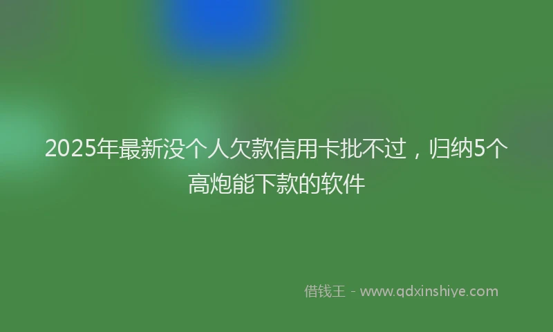 2025年最新没个人欠款信用卡批不过，归纳5个高炮能下款的软件