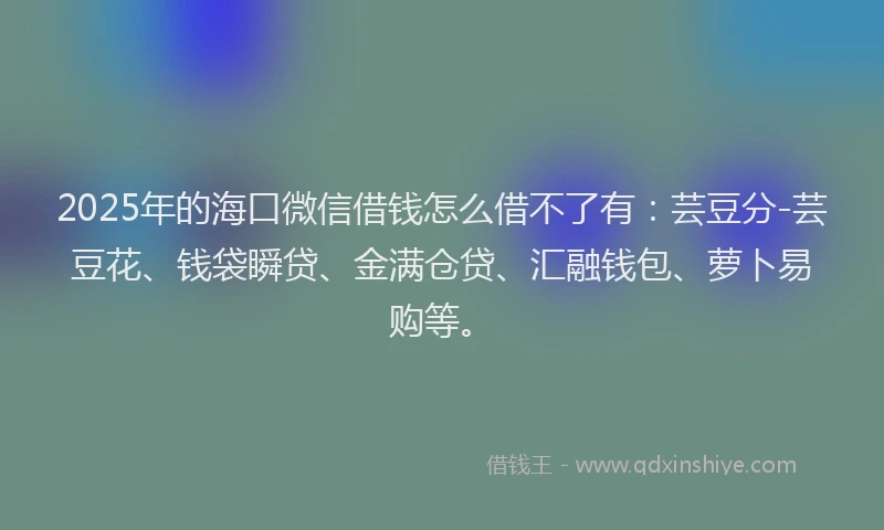2025年的海口微信借钱怎么借不了有：芸豆分-芸豆花、钱袋瞬贷、金满仓贷、汇融钱包、萝卜易购等。