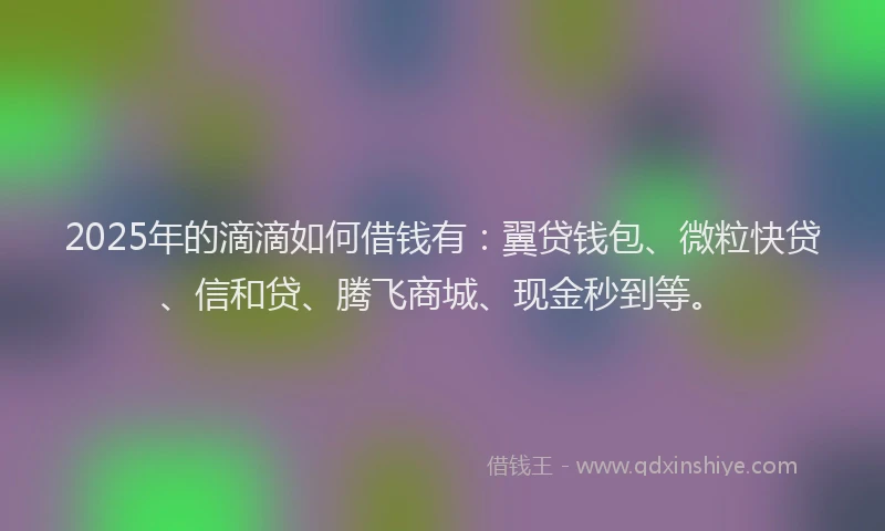 2025年的滴滴如何借钱有：翼贷钱包、微粒快贷、信和贷、腾飞商城、现金秒到等。
