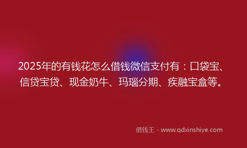 2025年的有钱花怎么借钱微信支付有：口袋宝、信贷宝贷、现金奶牛、玛瑙分期、疾融宝盒等。