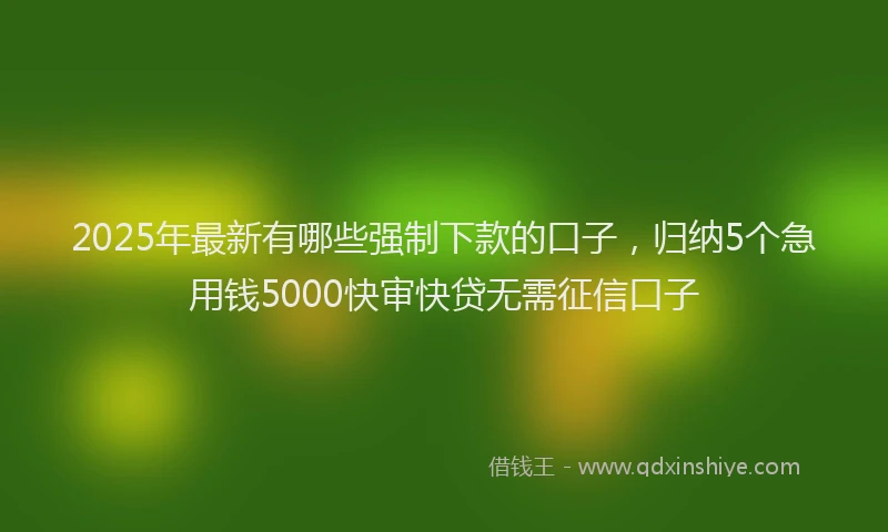 2025年最新有哪些强制下款的口子，归纳5个急用钱5000快审快贷无需征信口子