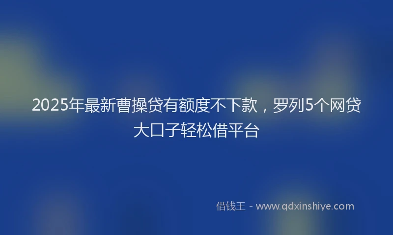 2025年最新曹操贷有额度不下款，罗列5个网贷大口子轻松借平台