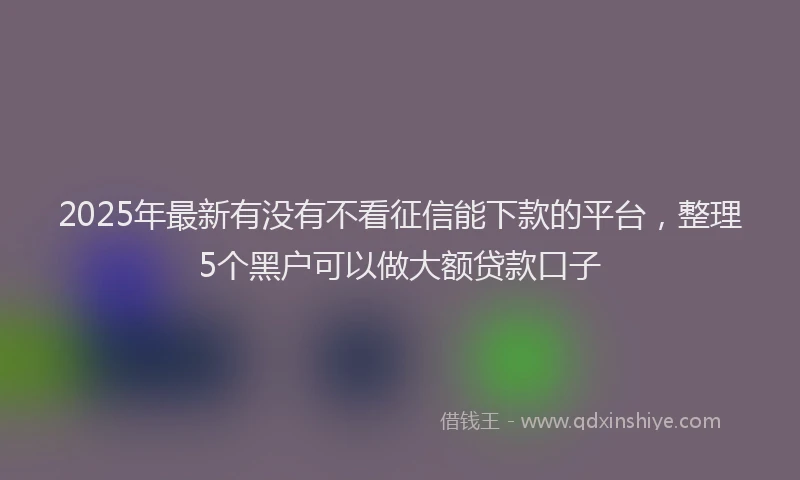 2025年最新有没有不看征信能下款的平台，整理5个黑户可以做大额贷款口子