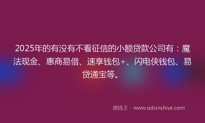 2025年的有没有不看征信的小额贷款公司有：魔法现金、惠商易借、速享钱包+、闪电侠钱包、易贷通宝等。
