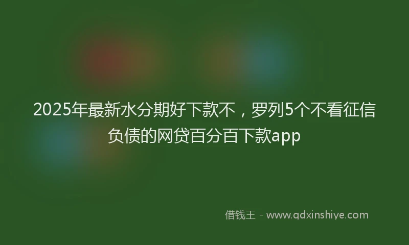 2025年最新水分期好下款不，罗列5个不看征信负债的网贷百分百下款app