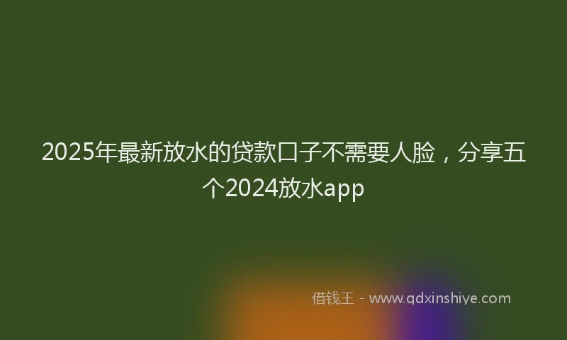 2025年最新放水的贷款口子不需要人脸，分享五个2024放水app