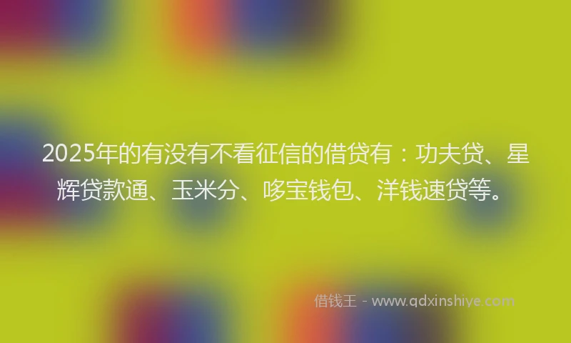 2025年的有没有不看征信的借贷有：功夫贷、星辉贷款通、玉米分、哆宝钱包、洋钱速贷等。