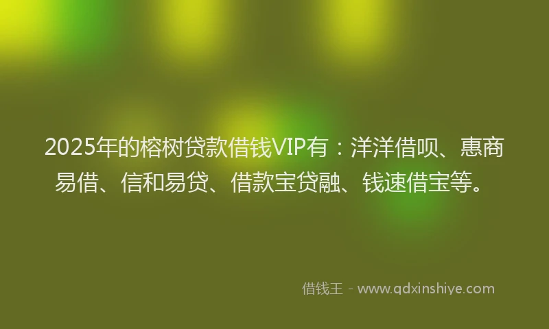 2025年的榕树贷款借钱VIP有：洋洋借呗、惠商易借、信和易贷、借款宝贷融、钱速借宝等。