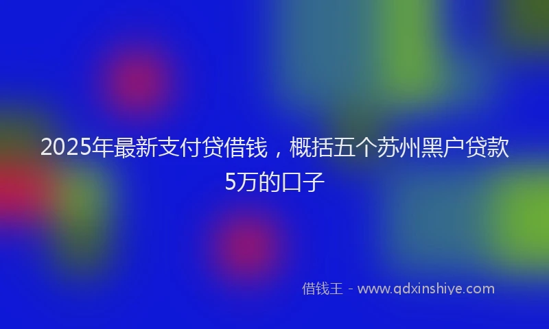 2025年最新支付贷借钱，概括五个苏州黑户贷款5万的口子