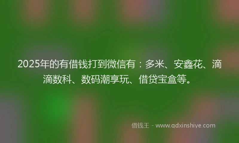 2025年的有借钱打到微信有：多米、安鑫花、滴滴数科、数码潮享玩、借贷宝盒等。