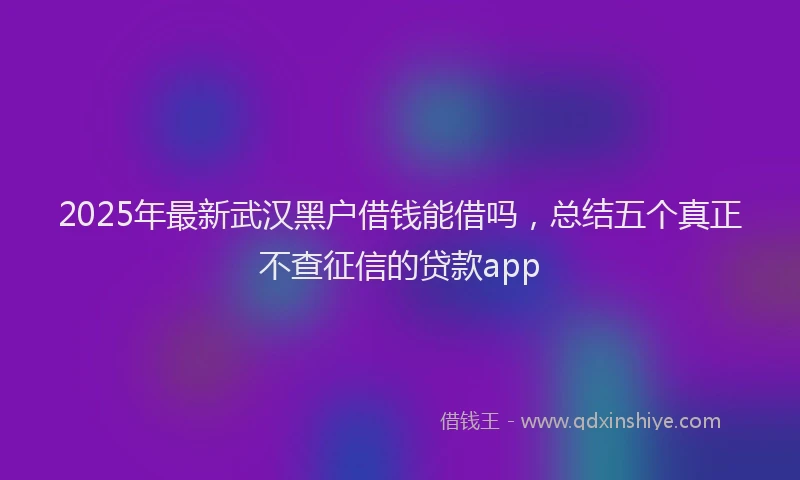 2025年最新武汉黑户借钱能借吗，总结五个真正不查征信的贷款app