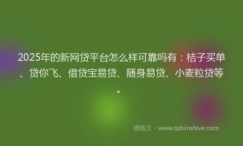 2025年的新网贷平台怎么样可靠吗有：桔子买单、贷你飞、借贷宝易贷、随身易贷、小麦粒贷等。