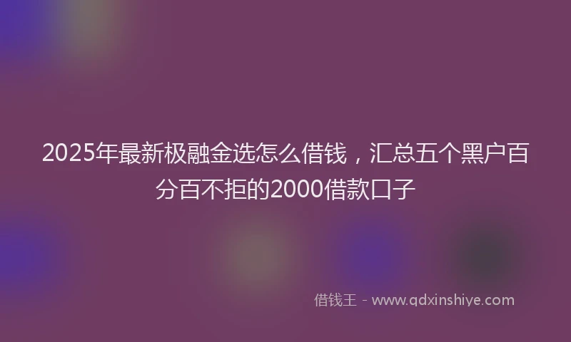 2025年最新极融金选怎么借钱，汇总五个黑户百分百不拒的2000借款口子