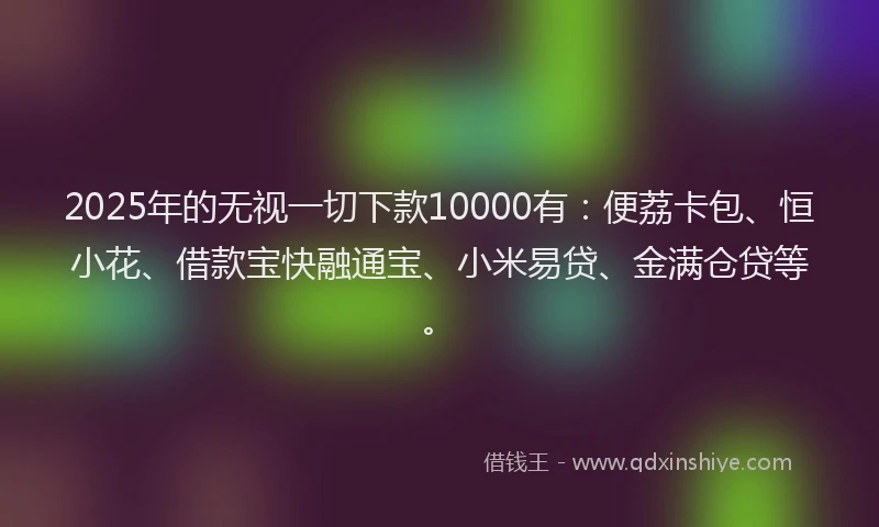 2025年的无视一切下款10000有：便荔卡包、恒小花、借款宝快融通宝、小米易贷、金满仓贷等。