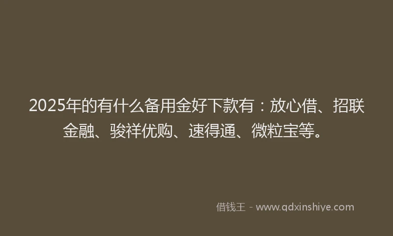 2025年的有什么备用金好下款有：放心借、招联金融、骏祥优购、速得通、微粒宝等。