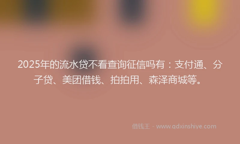 2025年的流水贷不看查询征信吗有：支付通、分子贷、美团借钱、拍拍用、森泽商城等。