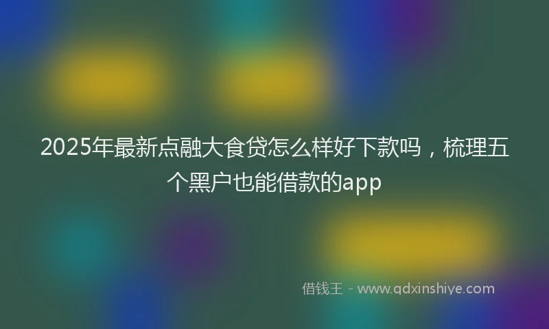 2025年最新点融大食贷怎么样好下款吗，梳理五个黑户也能借款的app