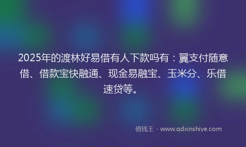 2025年的渡林好易借有人下款吗有：翼支付随意借、借款宝快融通、现金易融宝、玉米分、乐借速贷等。