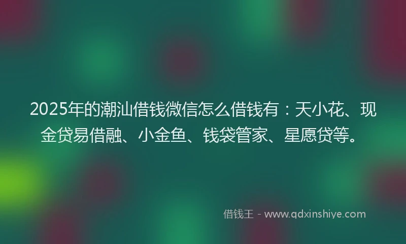 2025年的潮汕借钱微信怎么借钱有：天小花、现金贷易借融、小金鱼、钱袋管家、星愿贷等。