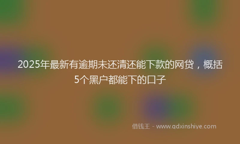 2025年最新有逾期未还清还能下款的网贷，概括5个黑户都能下的口子