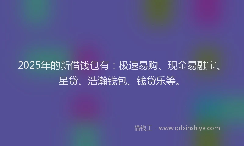 2025年的新借钱包有：极速易购、现金易融宝、星贷、浩瀚钱包、钱贷乐等。