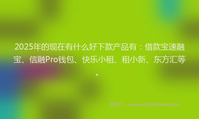 2025年的现在有什么好下款产品有：借款宝速融宝、信融Pro钱包、快乐小租、租小新、东方汇等。