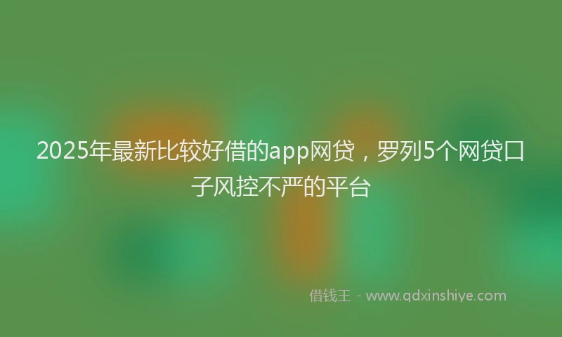 2025年最新比较好借的app网贷，罗列5个网贷口子风控不严的平台