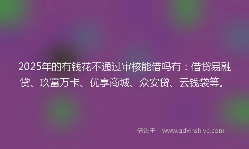 2025年的有钱花不通过审核能借吗有：借贷易融贷、玖富万卡、优享商城、众安贷、云钱袋等。
