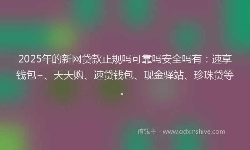 2025年的新网贷款正规吗可靠吗安全吗有：速享钱包+、天天购、速贷钱包、现金驿站、珍珠贷等。
