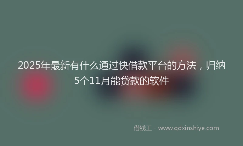 2025年最新有什么通过快借款平台的方法，归纳5个11月能贷款的软件