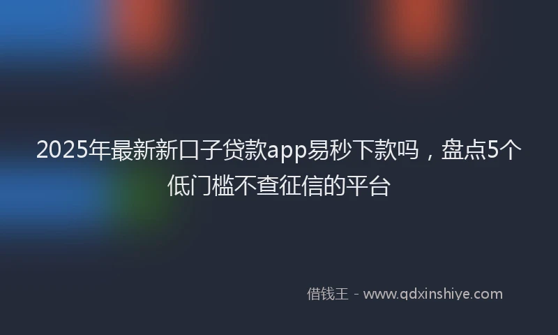 2025年最新新口子贷款app易秒下款吗，盘点5个低门槛不查征信的平台