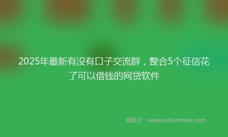 2025年最新有没有口子交流群，整合5个征信花了可以借钱的网贷软件