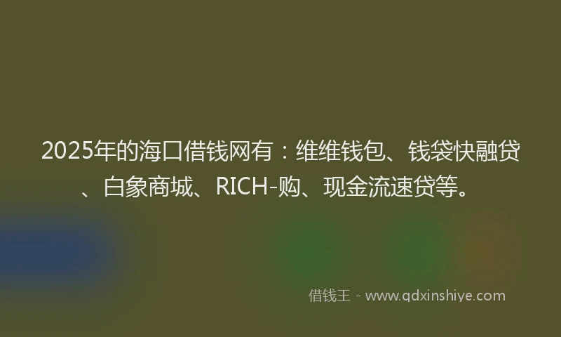 2025年的海口借钱网有：维维钱包、钱袋快融贷、白象商城、RICH-购、现金流速贷等。