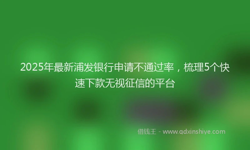 2025年最新浦发银行申请不通过率，梳理5个快速下款无视征信的平台