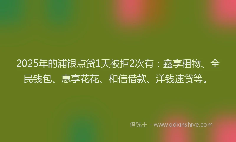 2025年的浦银点贷1天被拒2次有：鑫享租物、全民钱包、惠享花花、和信借款、洋钱速贷等。