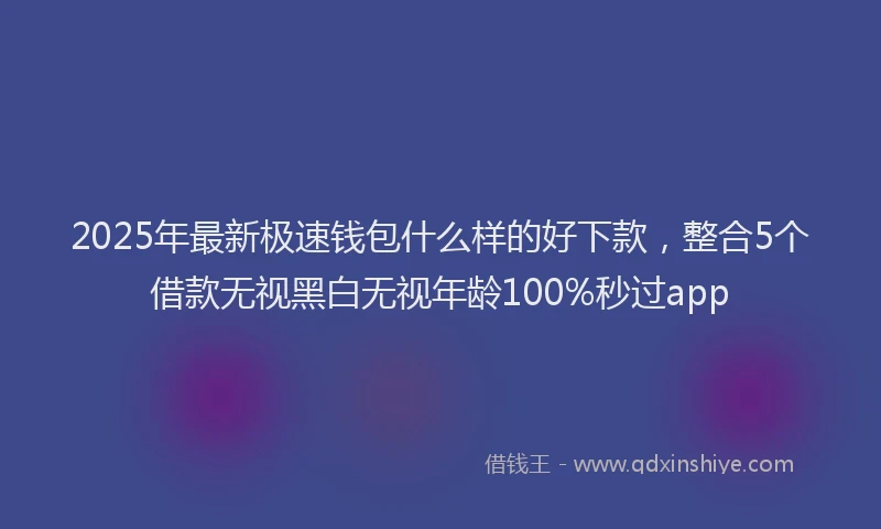2025年最新极速钱包什么样的好下款，整合5个借款无视黑白无视年龄100%秒过app