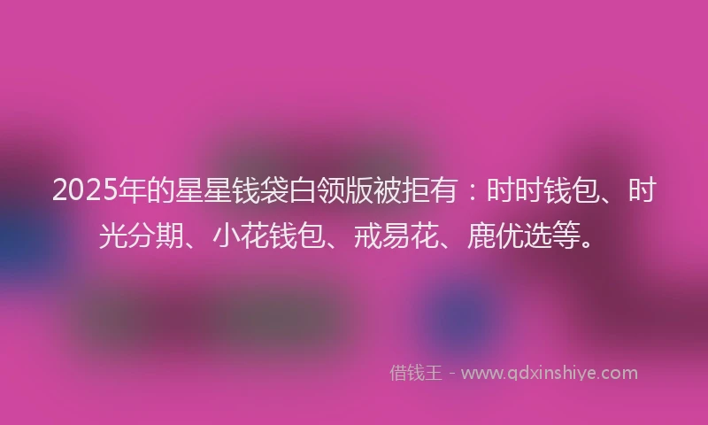 2025年的星星钱袋白领版被拒有：时时钱包、时光分期、小花钱包、戒易花、鹿优选等。