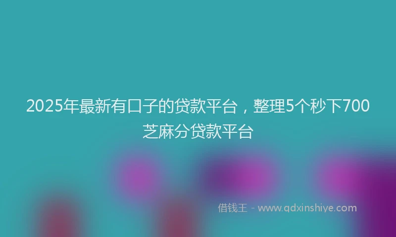 2025年最新有口子的贷款平台，整理5个秒下700芝麻分贷款平台