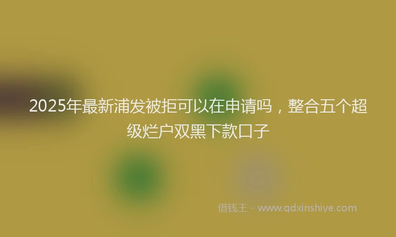 2025年最新浦发被拒可以在申请吗，整合五个超级烂户双黑下款口子