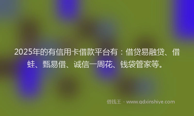 2025年的有信用卡借款平台有：借贷易融贷、借蛙、甄易借、诚信一周花、钱袋管家等。
