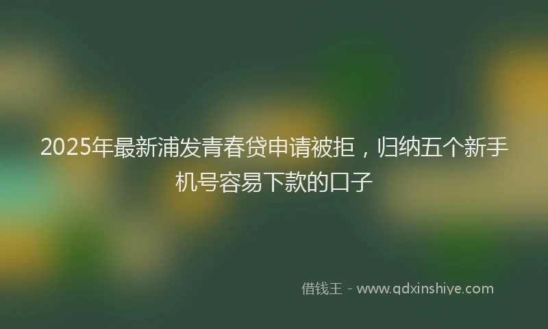 2025年最新浦发青春贷申请被拒，归纳五个新手机号容易下款的口子