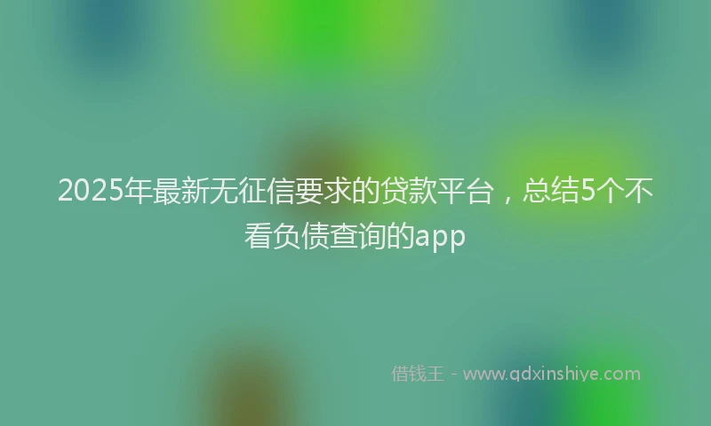 2025年最新无征信要求的贷款平台，总结5个不看负债查询的app