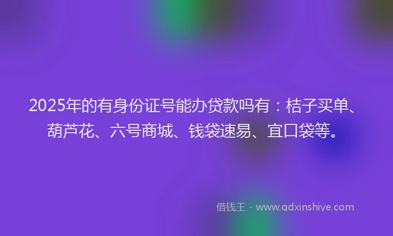 2025年的有身份证号能办贷款吗有：桔子买单、葫芦花、六号商城、钱袋速易、宜口袋等。