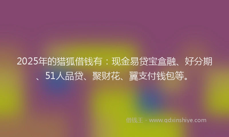 2025年的猎狐借钱有：现金易贷宝盒融、好分期、51人品贷、聚财花、翼支付钱包等。