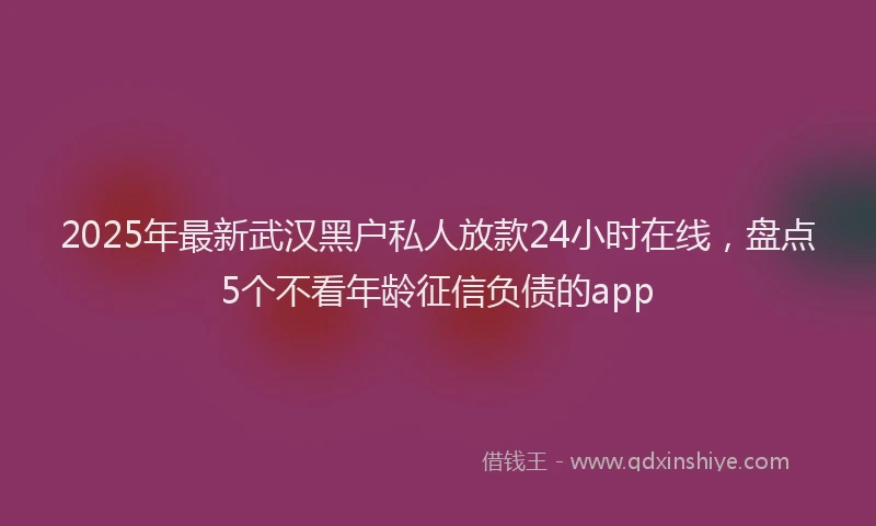 2025年最新武汉黑户私人放款24小时在线，盘点5个不看年龄征信负债的app