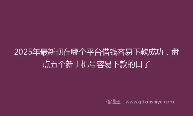 2025年最新现在哪个平台借钱容易下款成功，盘点五个新手机号容易下款的口子
