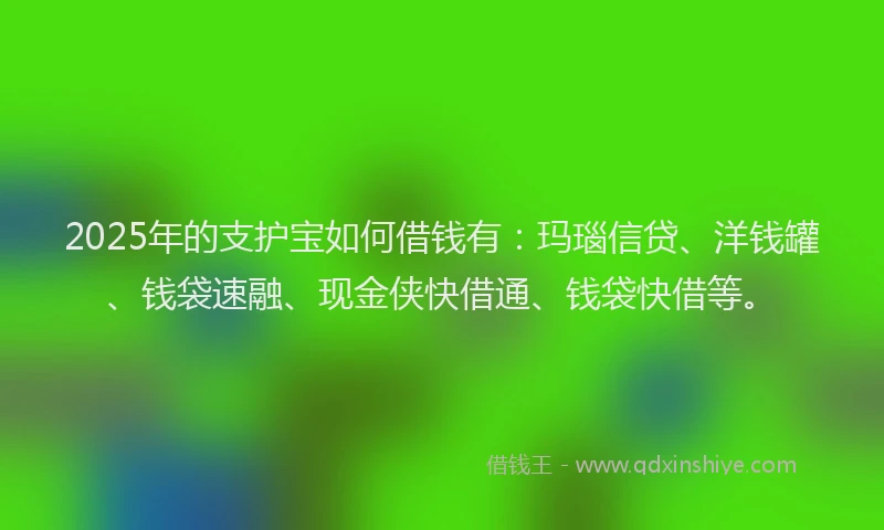 2025年的支护宝如何借钱有：玛瑙信贷、洋钱罐、钱袋速融、现金侠快借通、钱袋快借等。